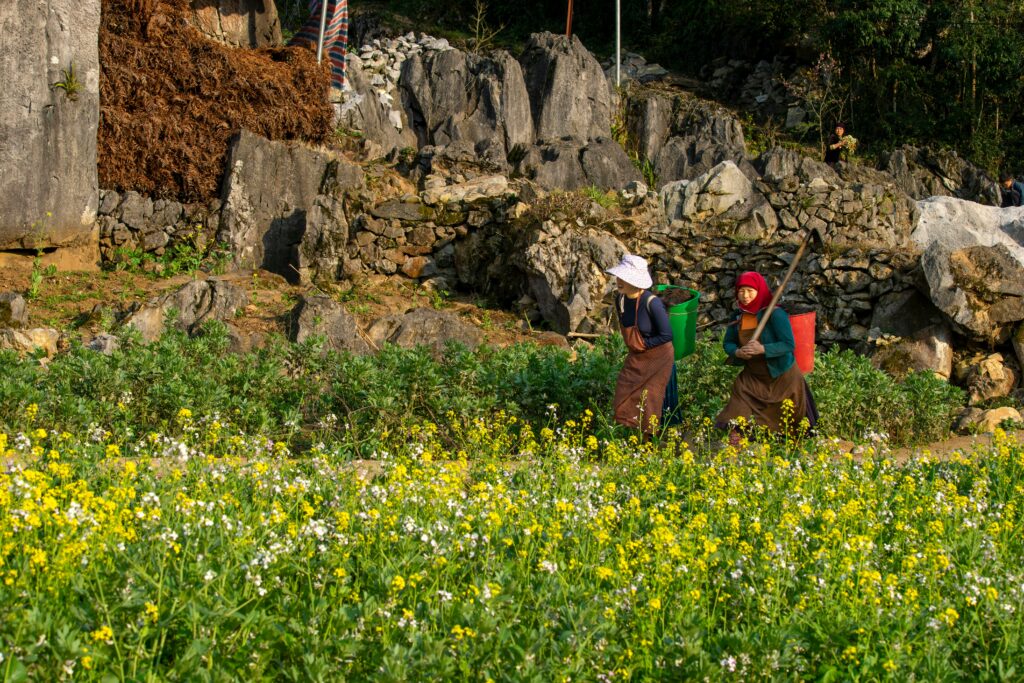 pexels preciousmemoriesvietnam 31265709