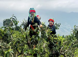 4 che co tram nam vao vu giua dai ngan tay con linh 7988791