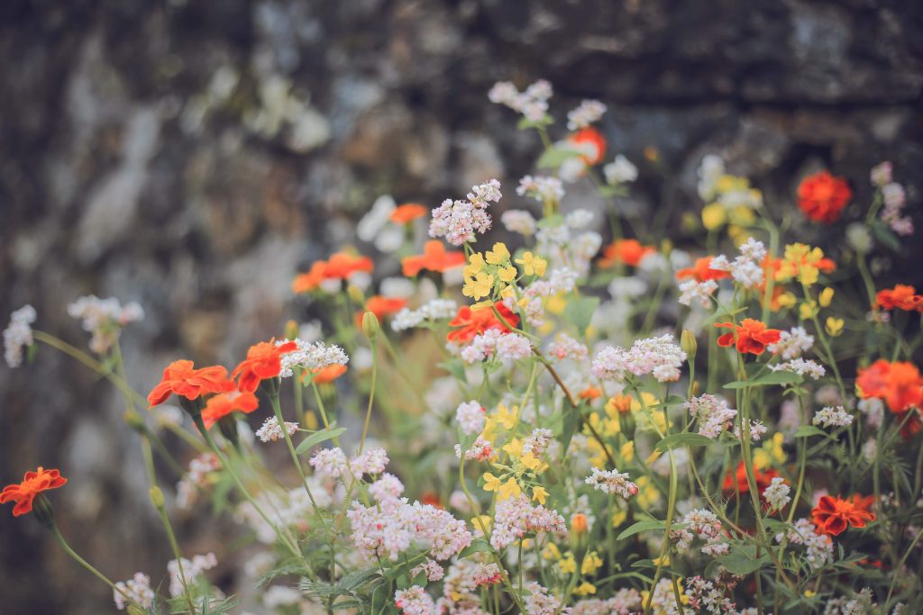 Ha Giang Loop Weather in August: What It's Really Like In 2025 23 1598091792
