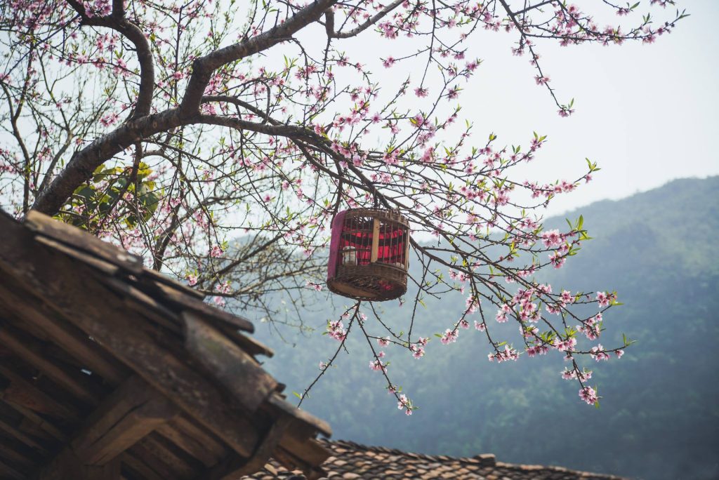 hanoimoi.com .vn uploads interactive 20210312 7367c3a2 e6c2 45f4 bed4 250323283e5f