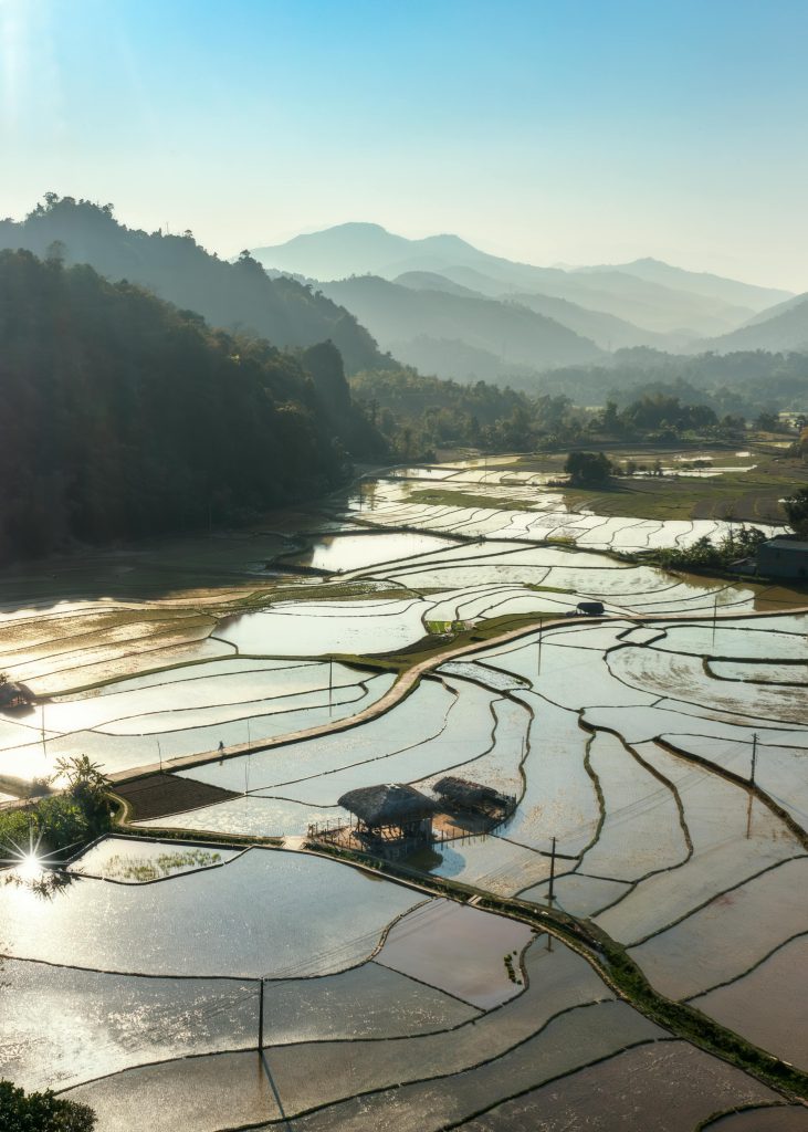 pexels linh tran 553086511 27831998