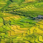 ruong bac thang sa pa